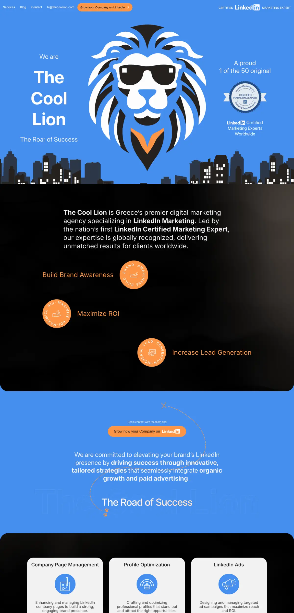 The The Cool Lion homepage on a desktop screen.